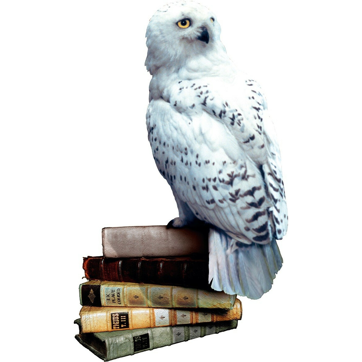 Gra Harry Potter i Czytacz Myśli - obrazek 3