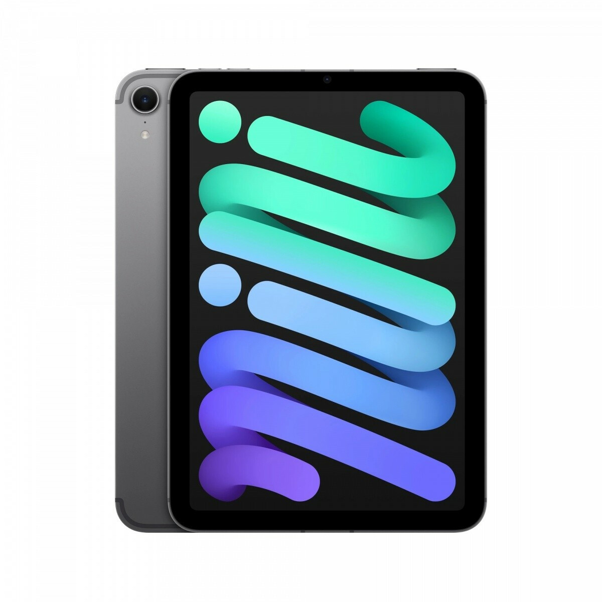 iPad mini Wi-Fi + Cellular 256GB Gwiezdna szarość