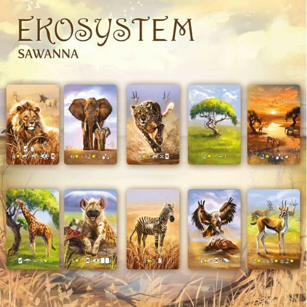 Gra Ekosystem 3 - Sawanna - obrazek 5