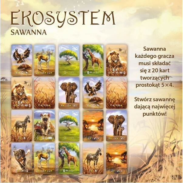 Gra Ekosystem 3 - Sawanna - obrazek 6