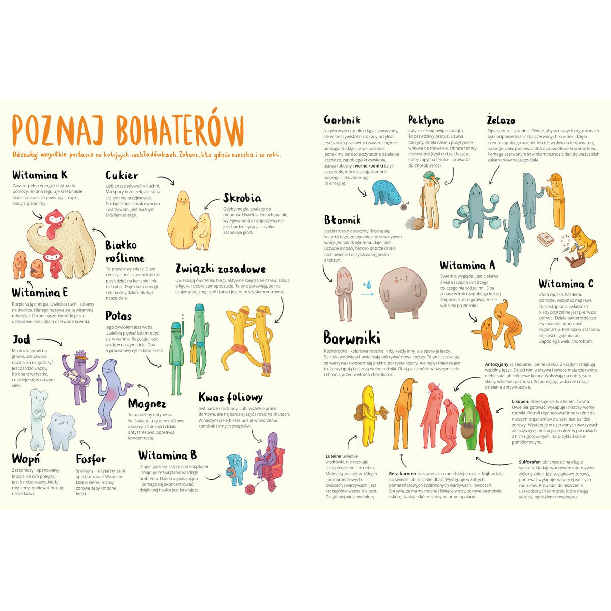 Książeczka Przekroje Owoce i Warzywa - obrazek 2