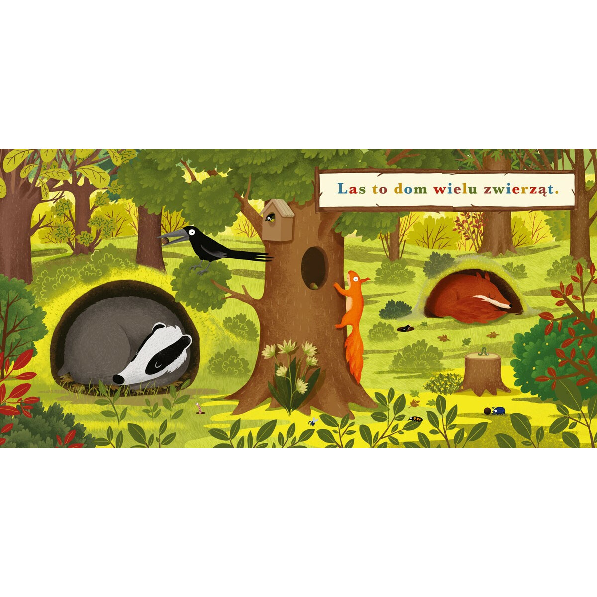 Książeczka Rok w lesie. Borsuk - obrazek 2