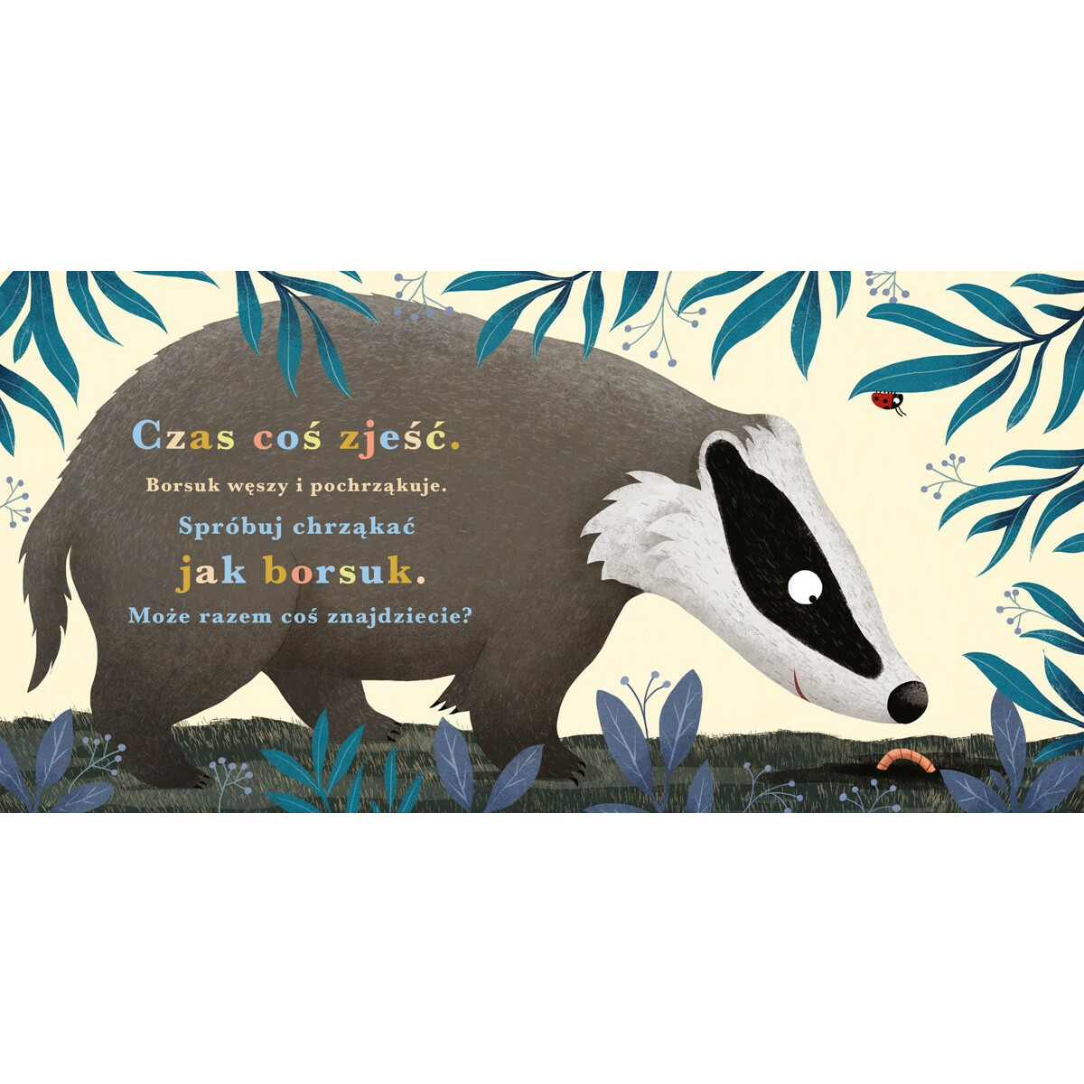 Książeczka Rok w lesie. Borsuk - obrazek 4