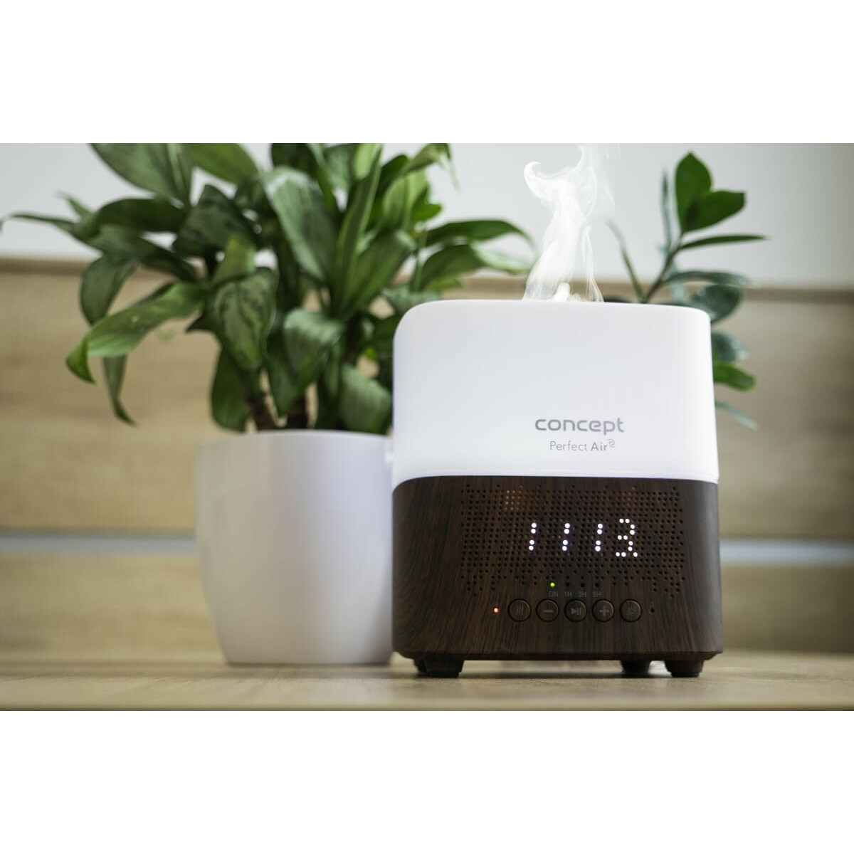 Dyfuzor zapachu Concept Perfect Air Dark Wood DF2011 - obrazek 4