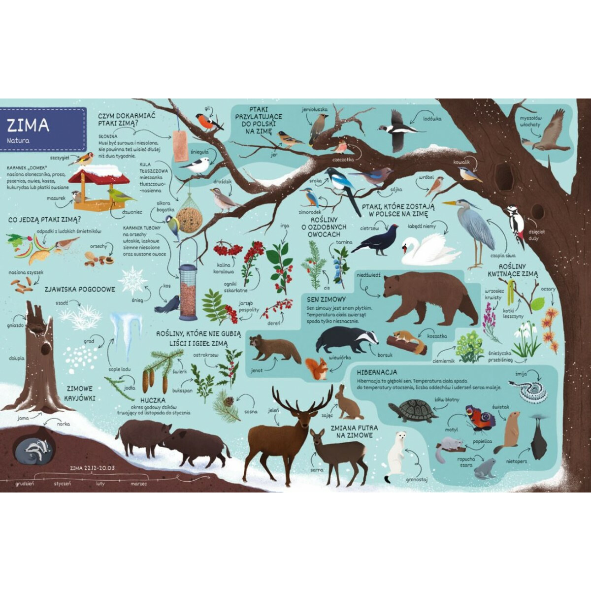 Książeczka Co jest w środku? Pory roku - obrazek 2