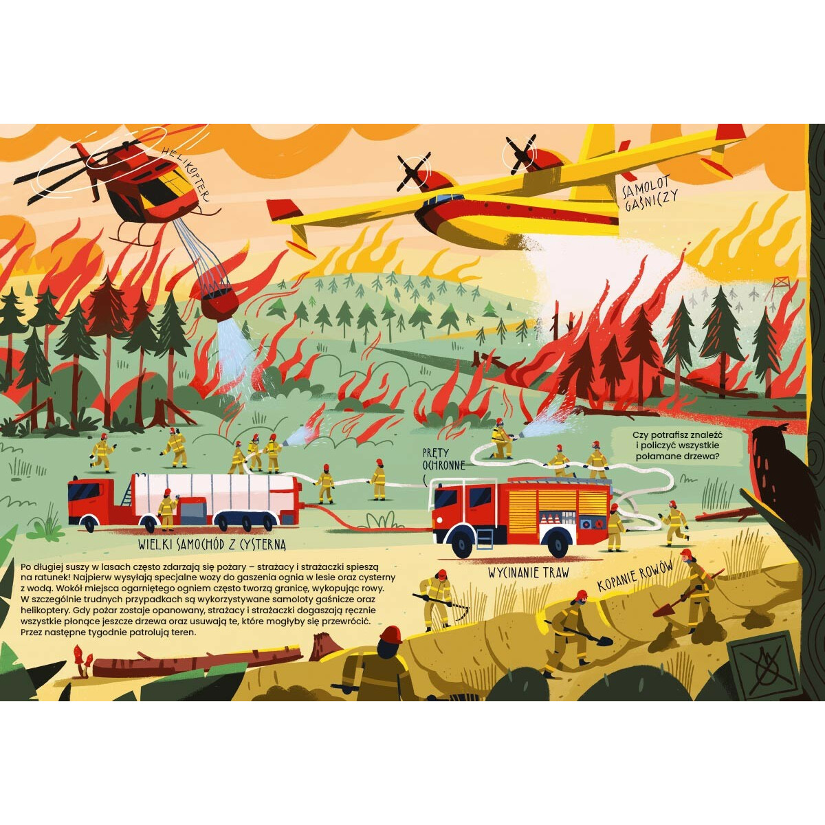 Książeczka Co robią strażacy i strażaczki - obrazek 4