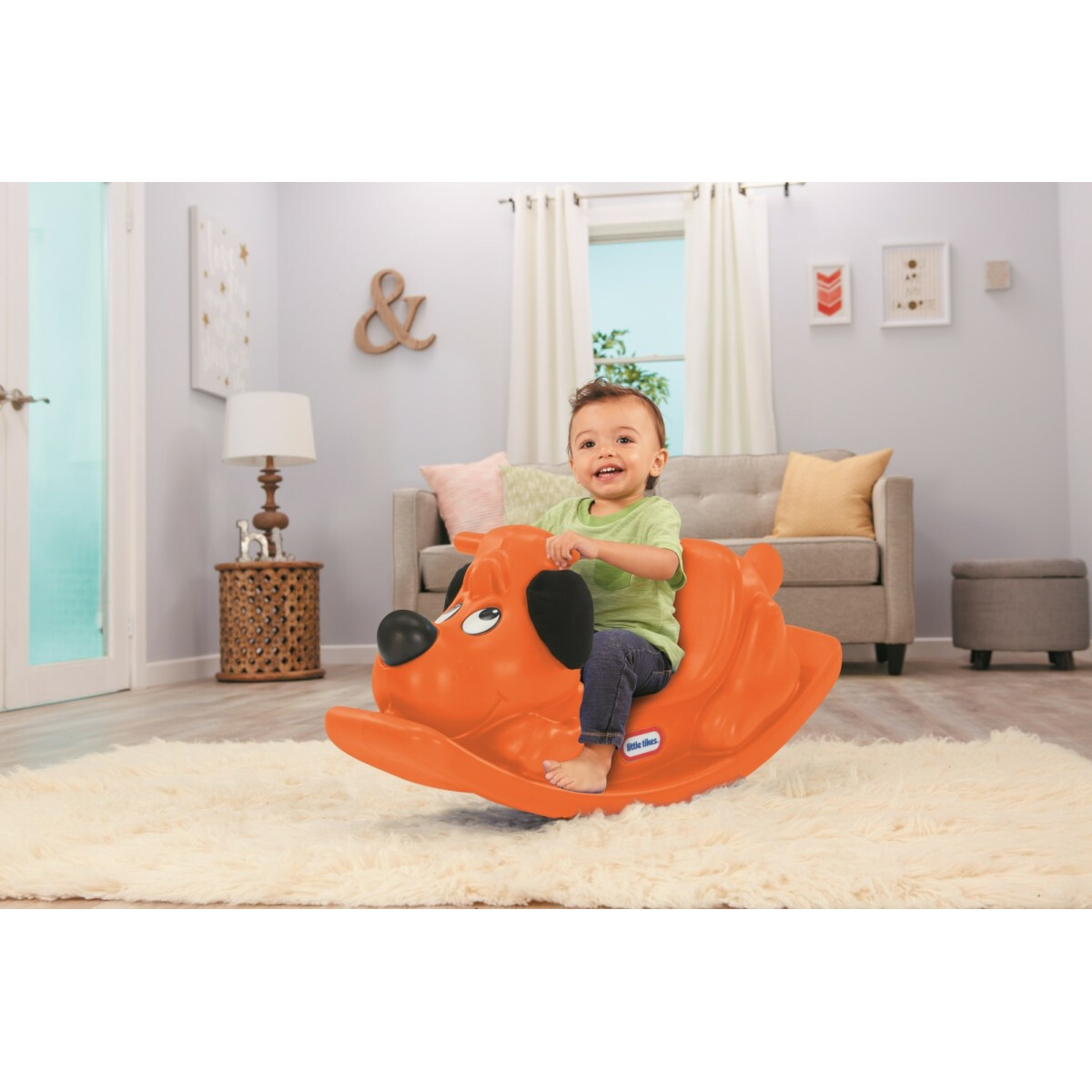 Bujak Piesek pomarańczowy - obrazek 2