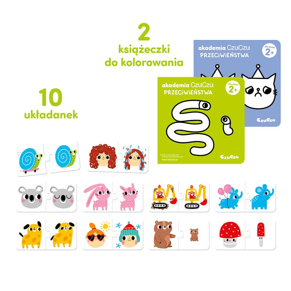 Akademia - Przeciwieństwa - obrazek 2