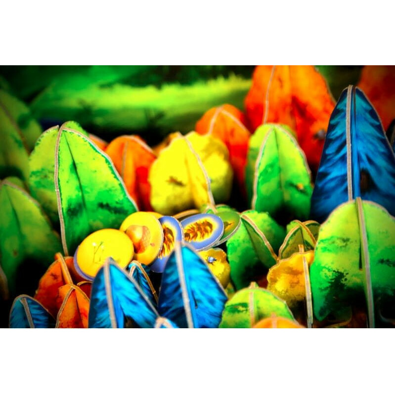 Gra Fotosynteza - obrazek 5