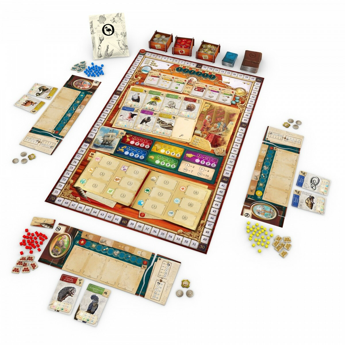 Gra Encyklopedia - obrazek 5