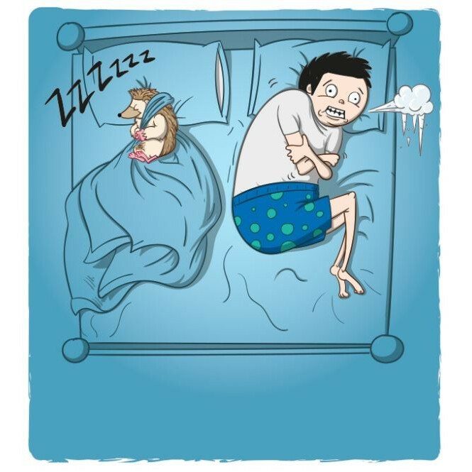 Gra Eksplodujące Kotki: Szczekające Kotki - obrazek 3