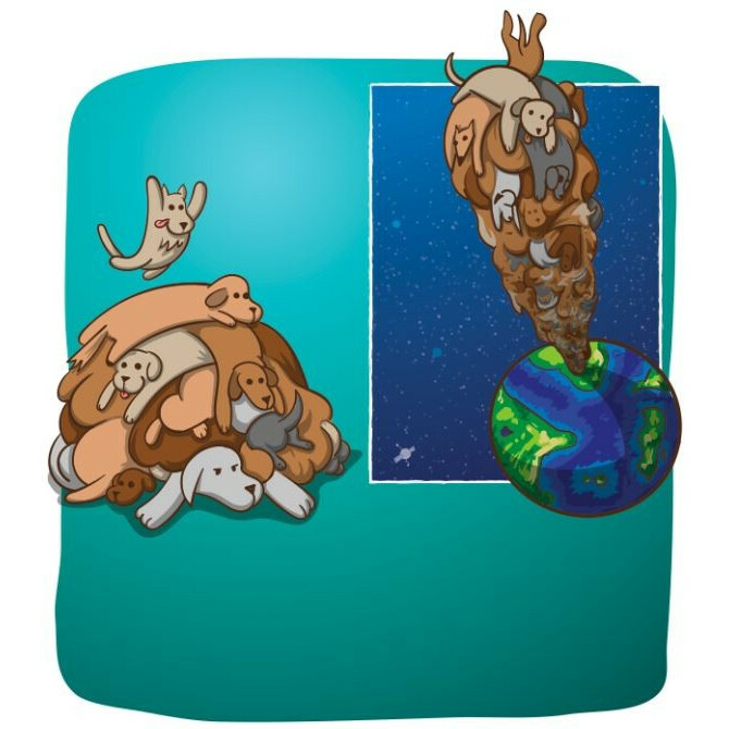 Gra Eksplodujące Kotki: Szczekające Kotki - obrazek 4