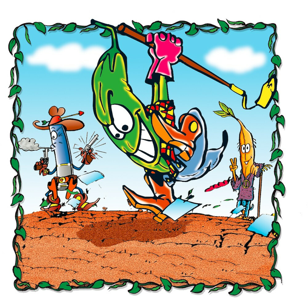 Gra Fasolki - obrazek 4