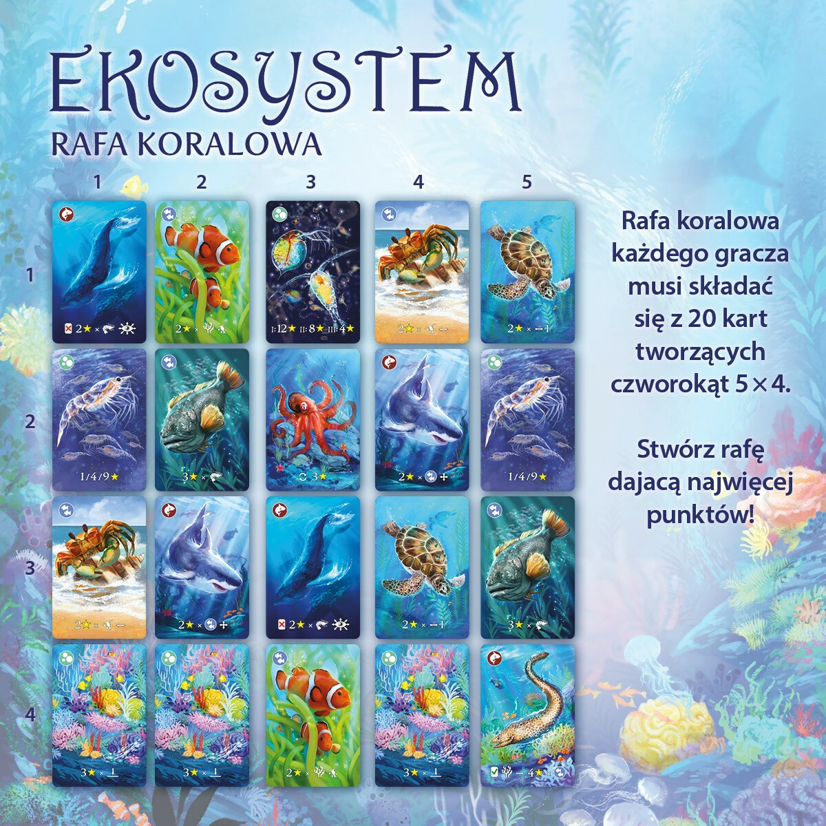 Gra Eko system 2 Rafa koralowa - obrazek 4