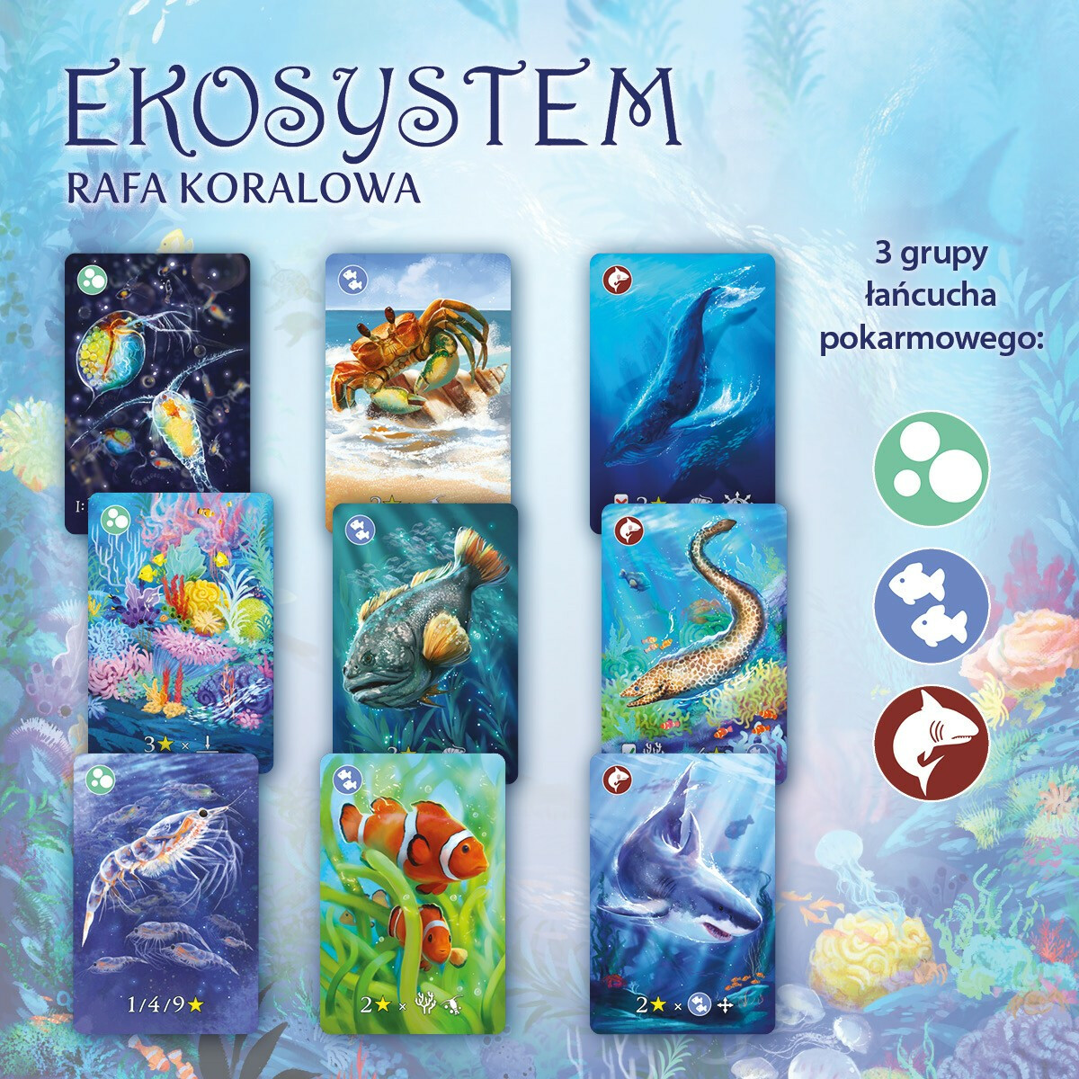 Gra Eko system 2 Rafa koralowa - obrazek 5