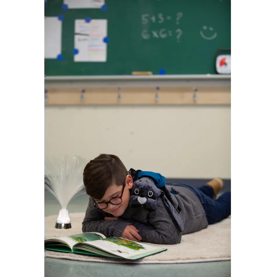 Obciążeniowy pies 2kg Manimo - obrazek 2