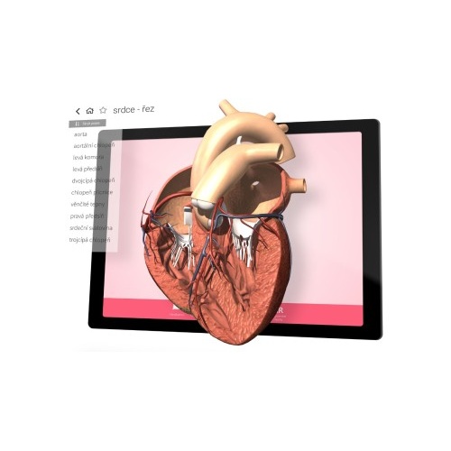 Corinth Online - 10 kont / 12 miesięcy