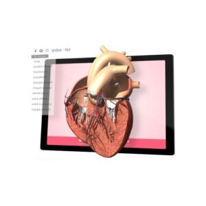 Corinth Online - 10 kont / 36 miesięcy