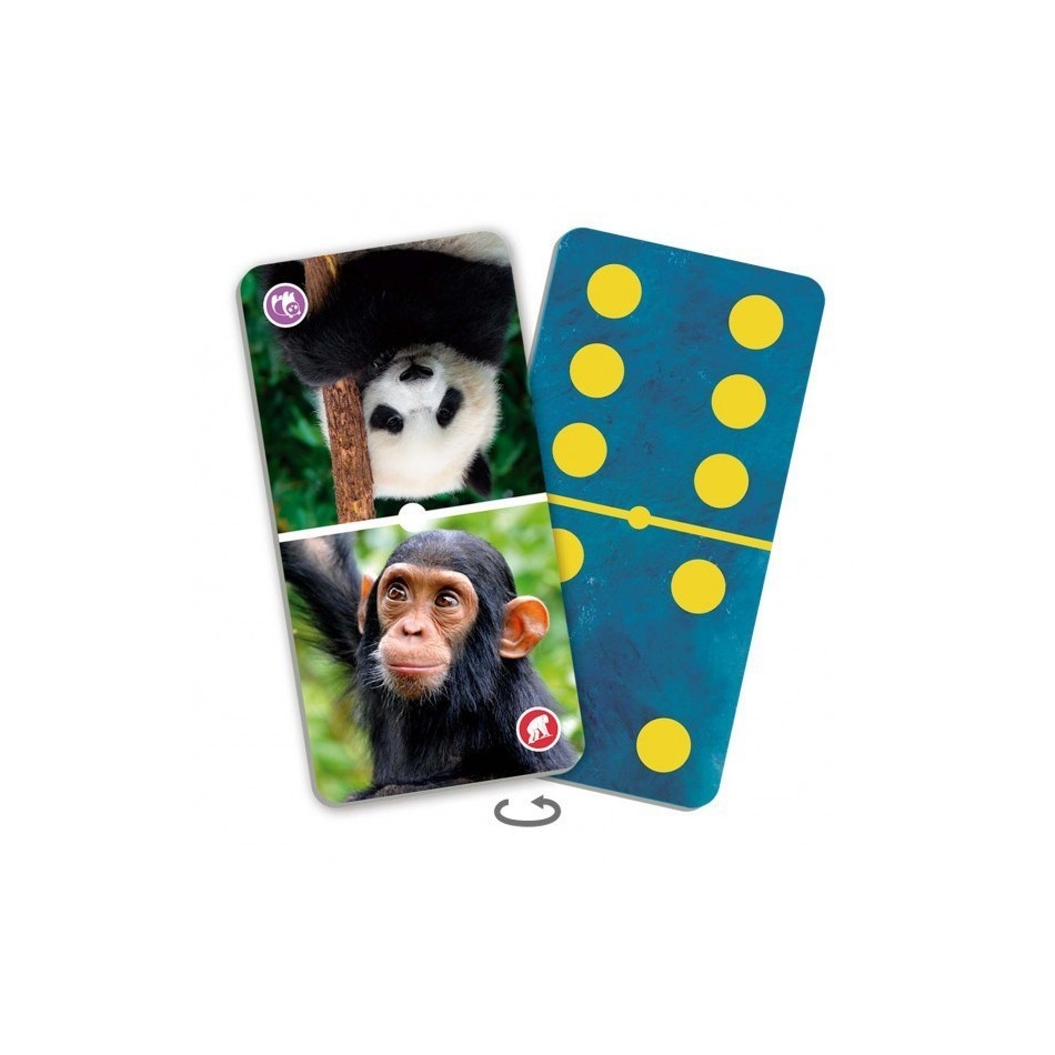 Domino - zwierzęta ZOO - obrazek 2