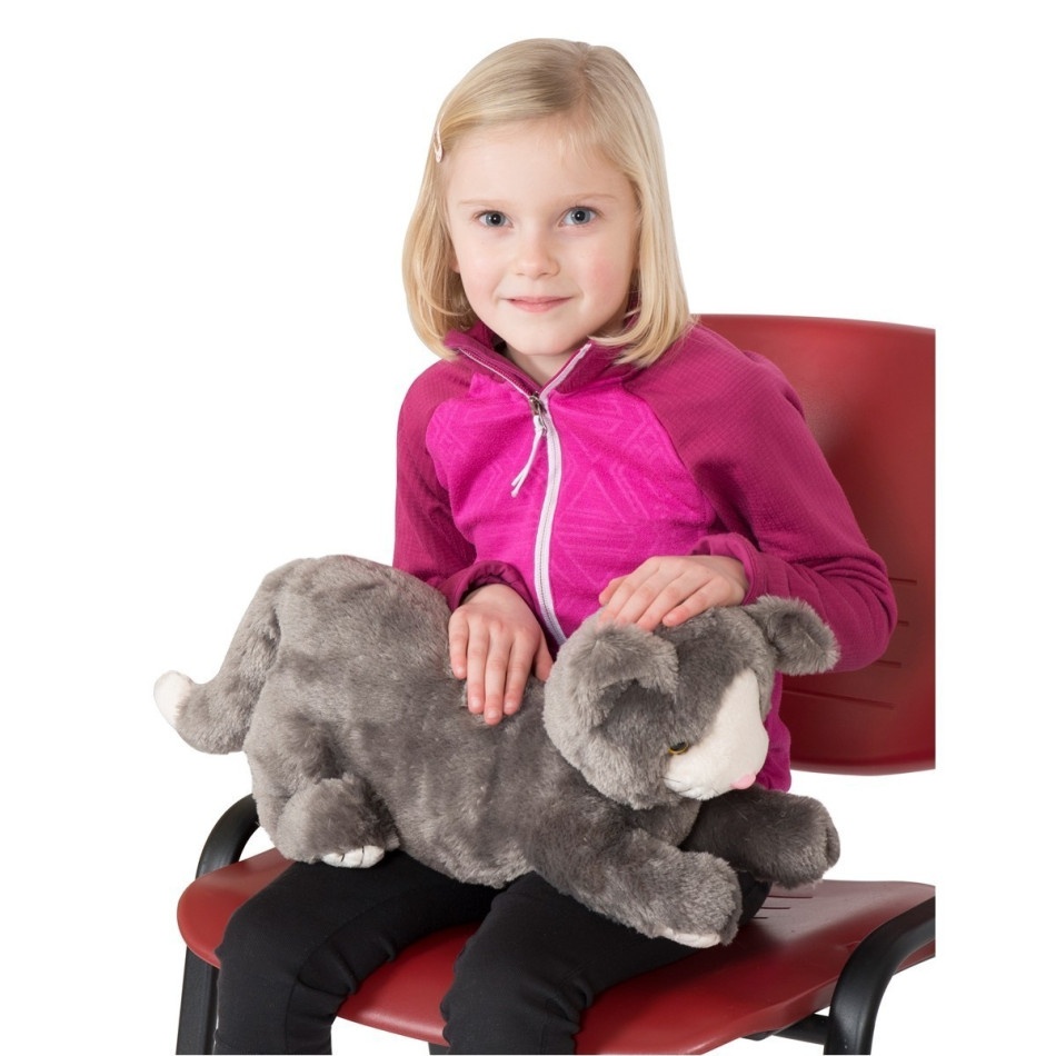 Obciążeniowy kot - obrazek 2