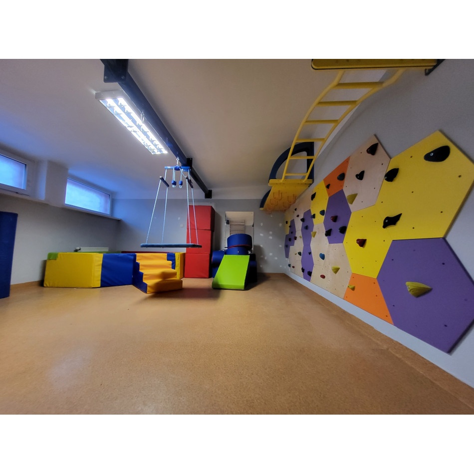 Ścianka wspinaczkowa ,,Plaster Miodu" - obrazek 3