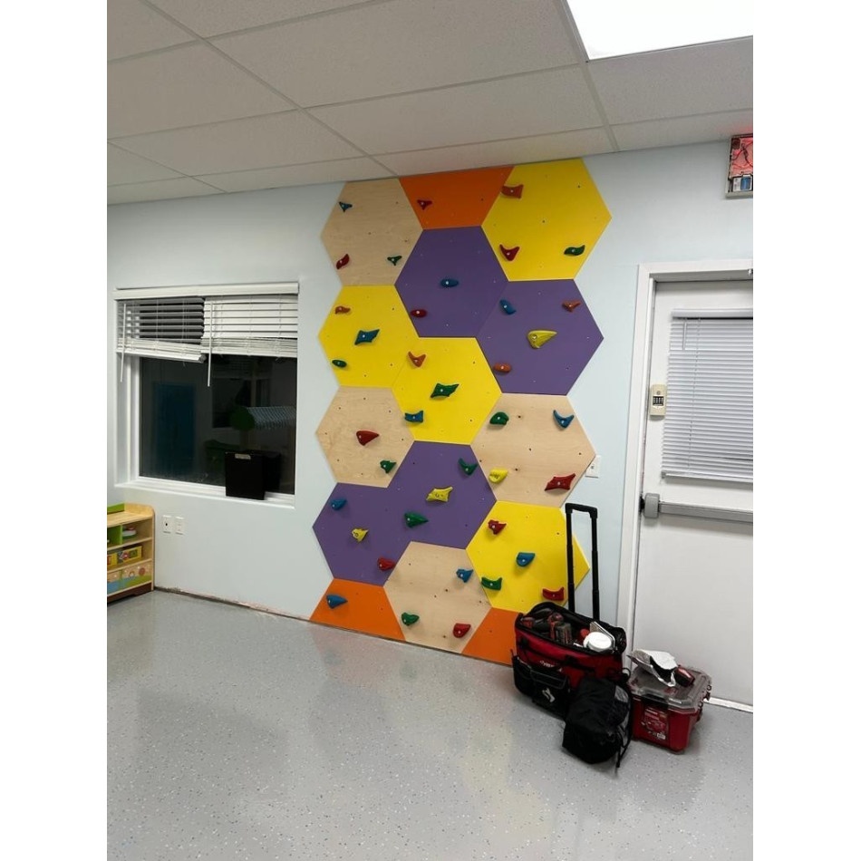 Ścianka wspinaczkowa ,,Plaster Miodu" - obrazek 5