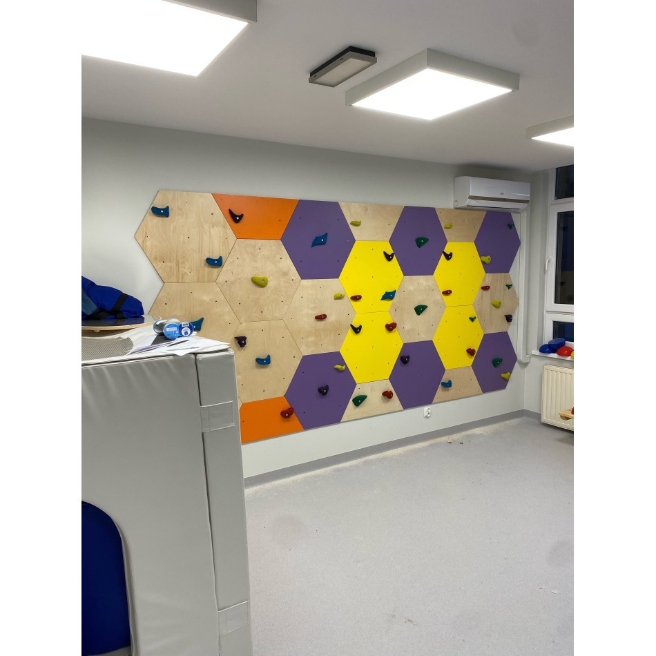 Ścianka wspinaczkowa ,,Plaster Miodu" - obrazek 2