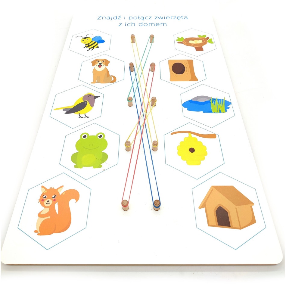 Znajdź i połącz - obrazek 10