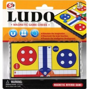 Chińczyk magnetyczny 16x17x2