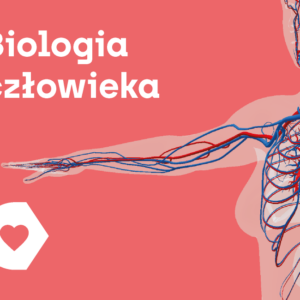 Aplikacja Corinth - Biologia Człowieka