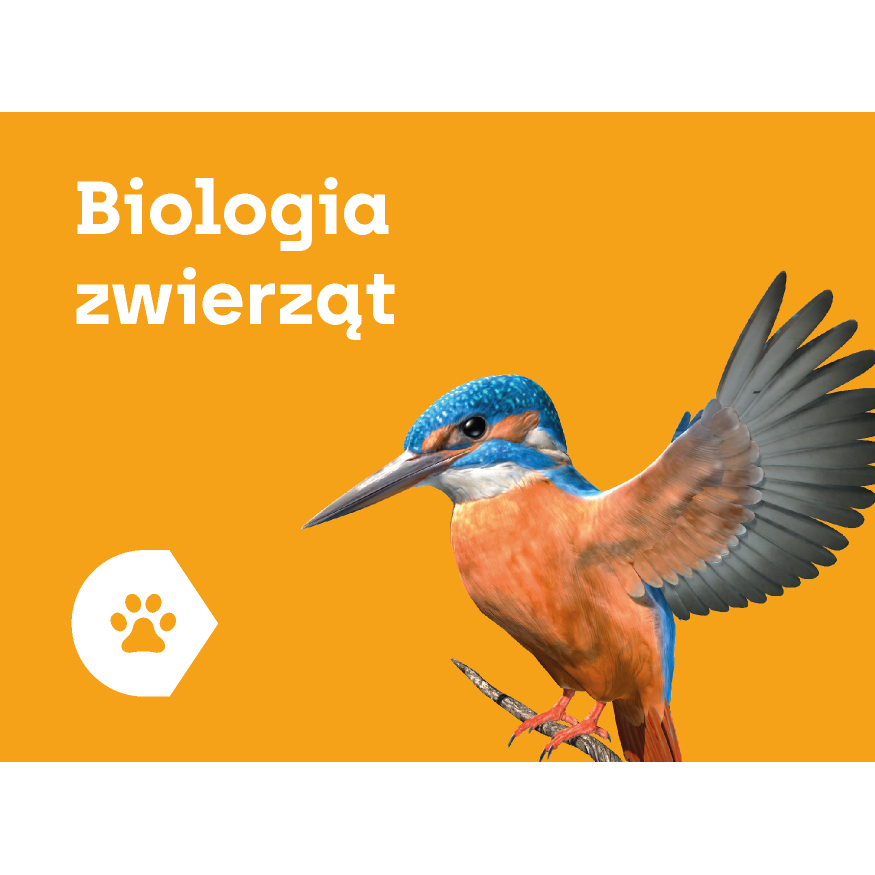 Aplikacja Corinth - Biologia Zwierząt